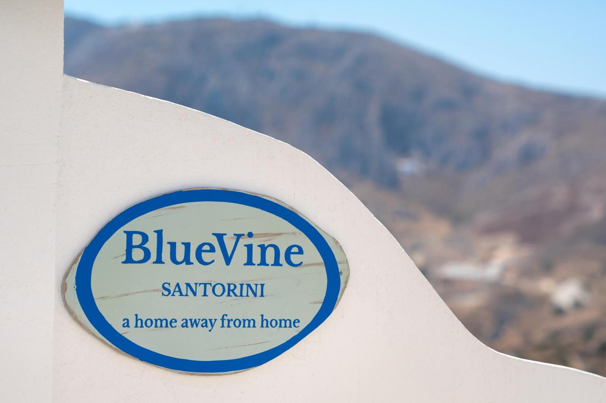 Blue Vine Kamári